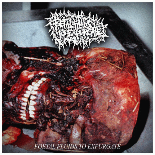 Foetal Fluids To Expurgate : Foetal Fluids to Expurgate